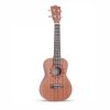 JEREMI  Ukulele koncertowe 